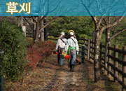 熊本パートナー草刈